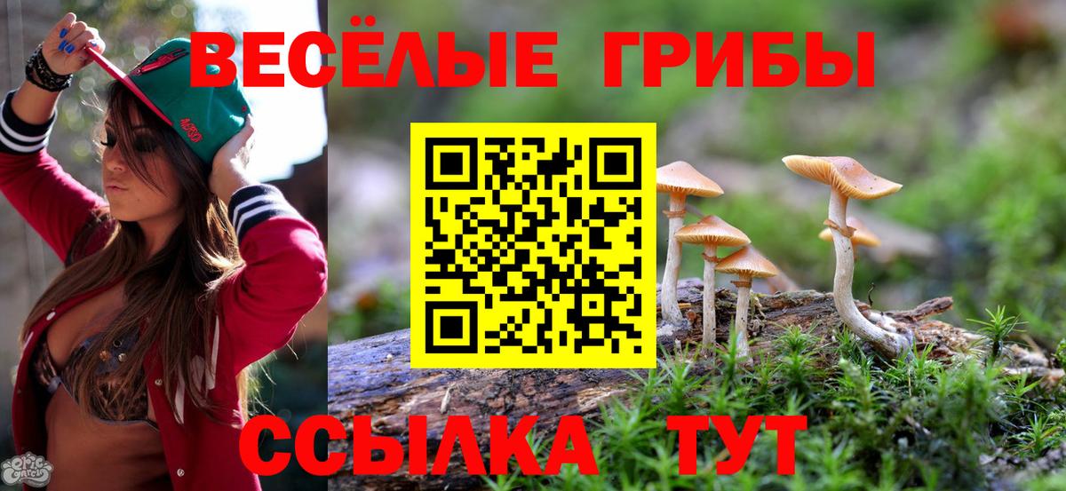 Галлюциногенные грибы Cubensis  Вход с VPN  Зерноград 
